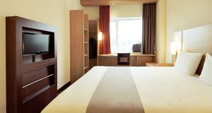 Ibis Fiera